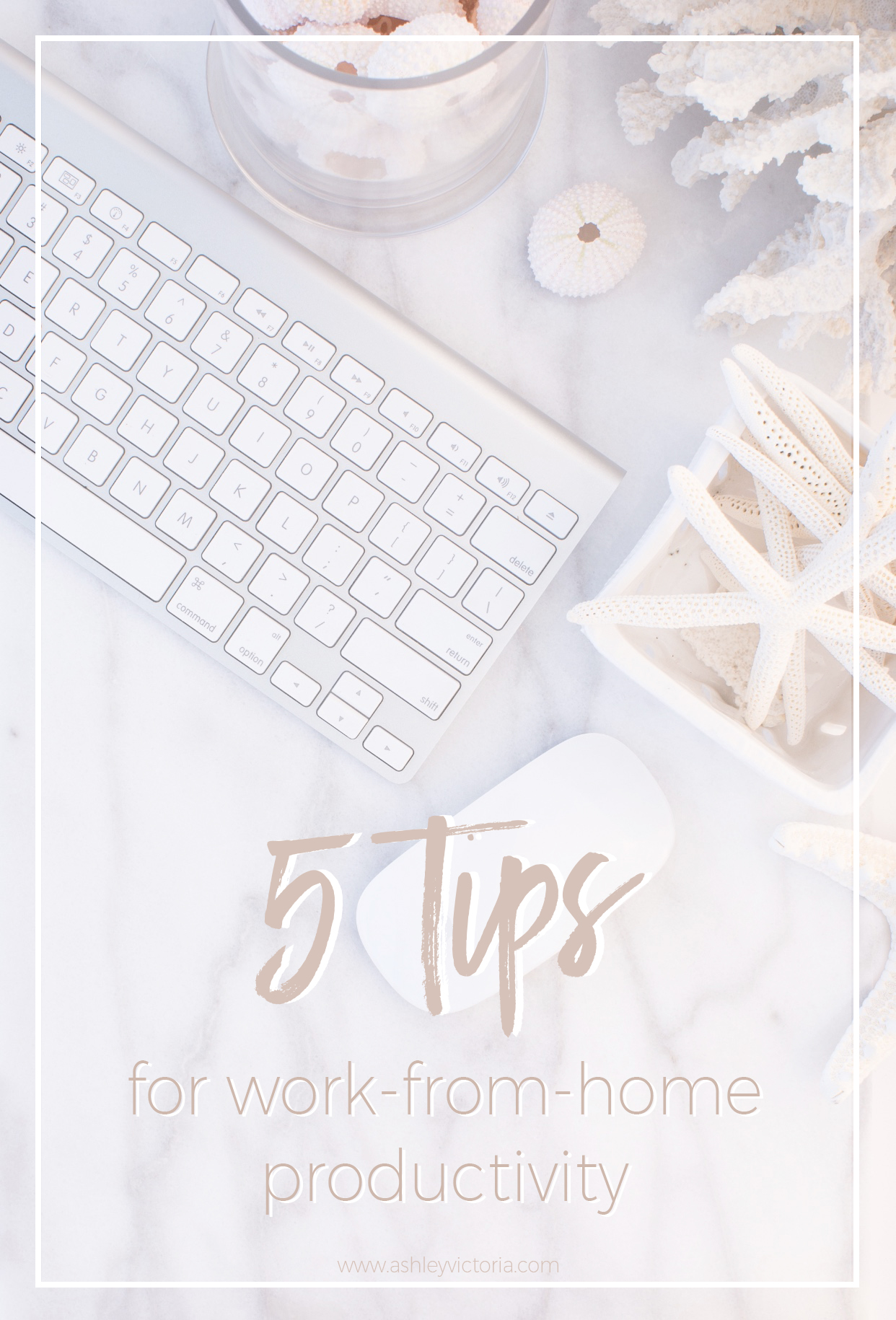 5 Tips for Work From Home Productivity
